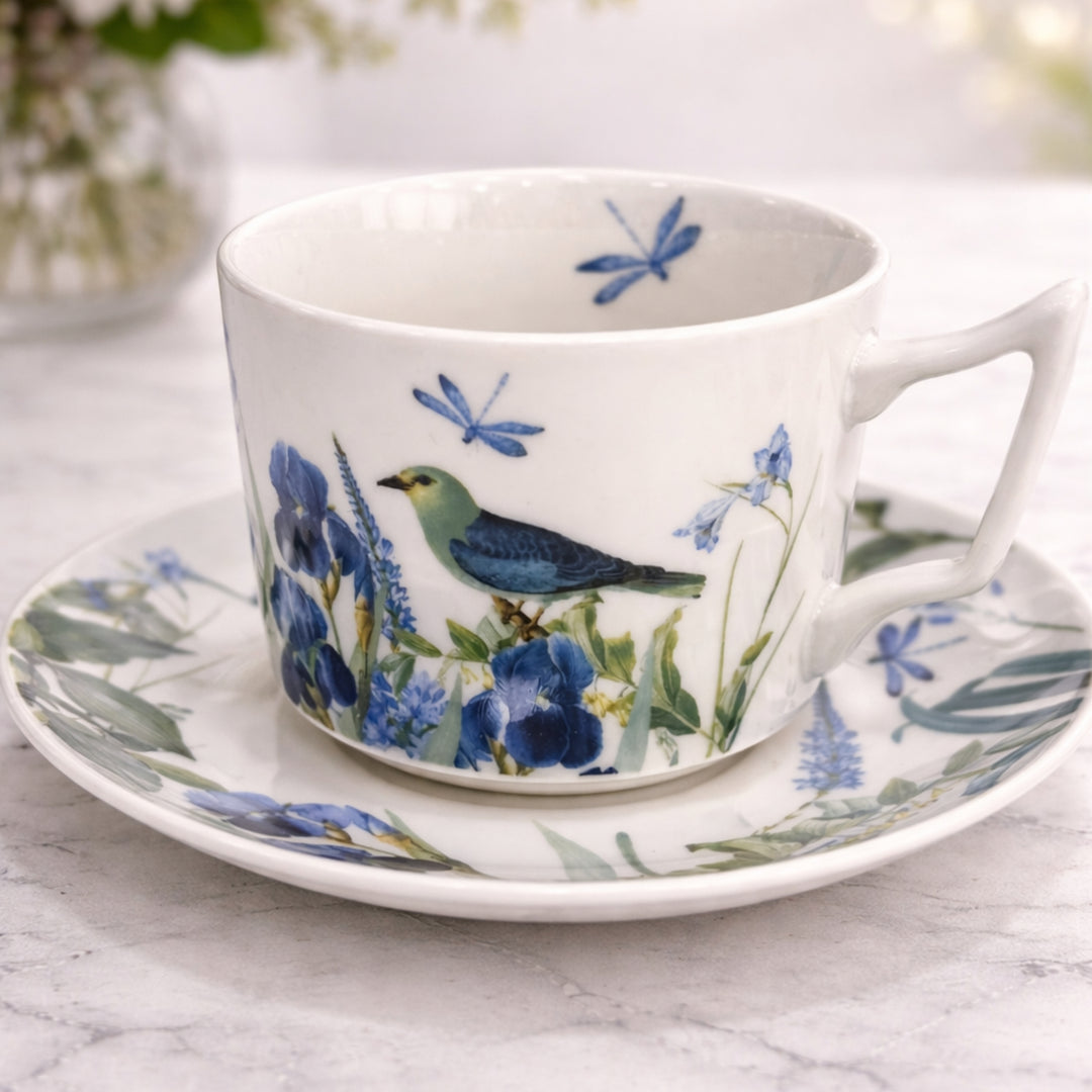 Set 6 tasses 240ML + 6 sous tasses 15cm