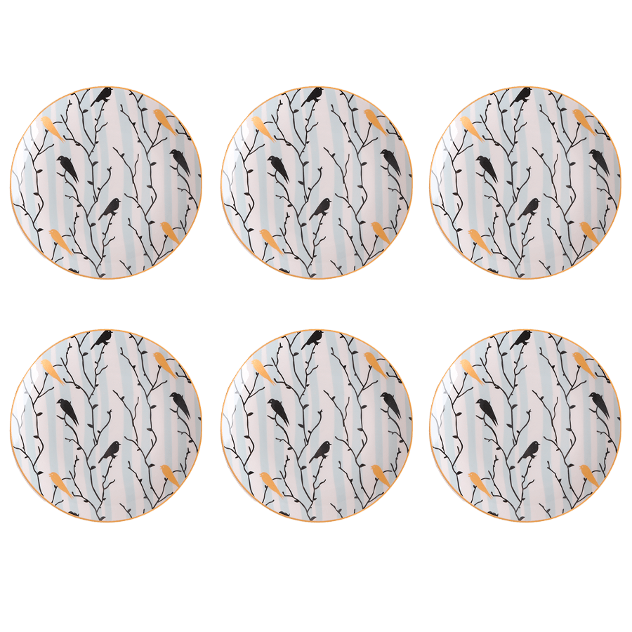 Set 6 assiettes 20cm - Saga Cuisine