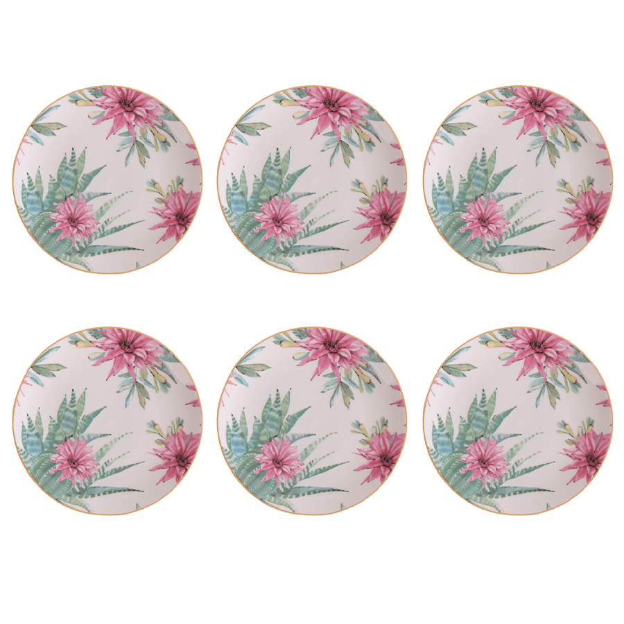 Set 6 assiettes 20cm - Saga Cuisine