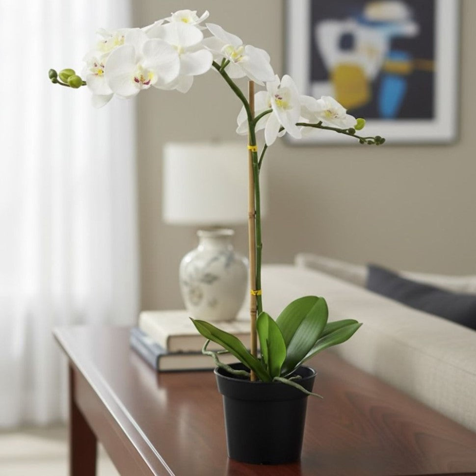 Plante artificielle 63x15cm