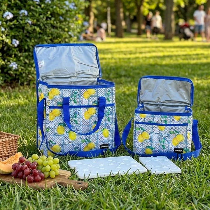 Set 2 sac isothermes 11,5L + 27L + 2 accumulateurs de froid 400ML + 800ML