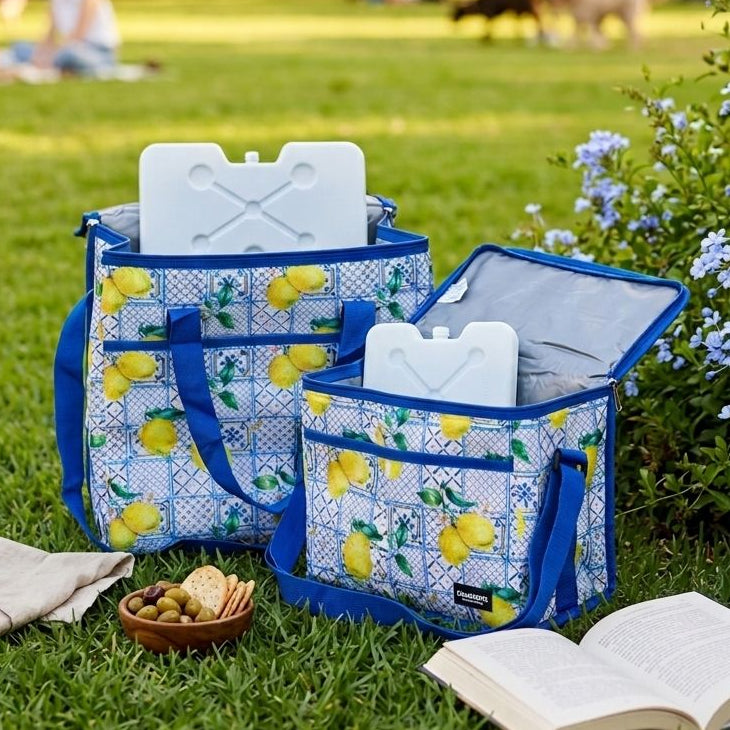 Set 2 sac isothermes 11,5L + 27L + 2 accumulateurs de froid 400ML + 800ML