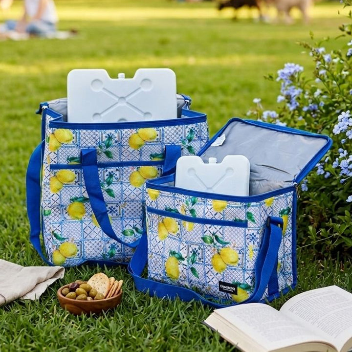 Set 2 sac isothermes 11,5L + 27L + 2 accumulateurs de froid 400ML + 800ML