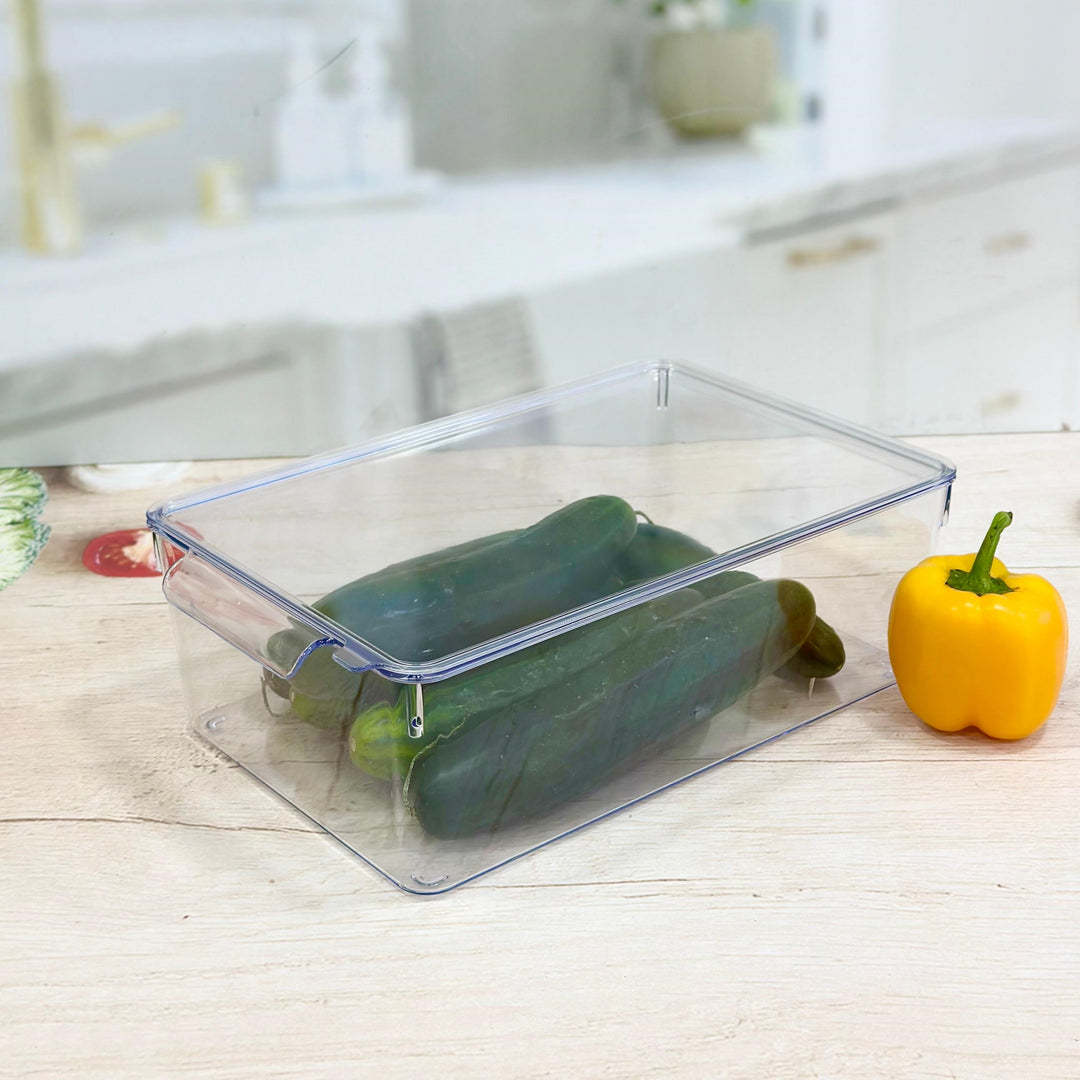 Organisateur avec couvercle en plexiglass 20x32,50x10,50cm