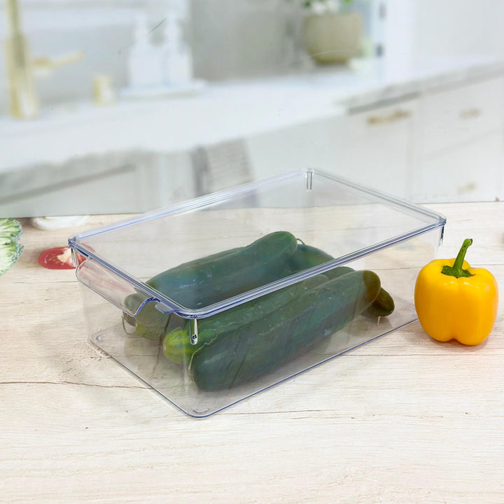 Organisateur avec couvercle en plexiglass 20x32,50x10,50cm