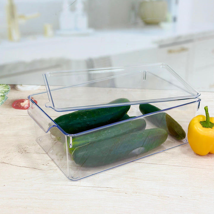 Organisateur avec couvercle en plexiglass 20x32,50x10,50cm