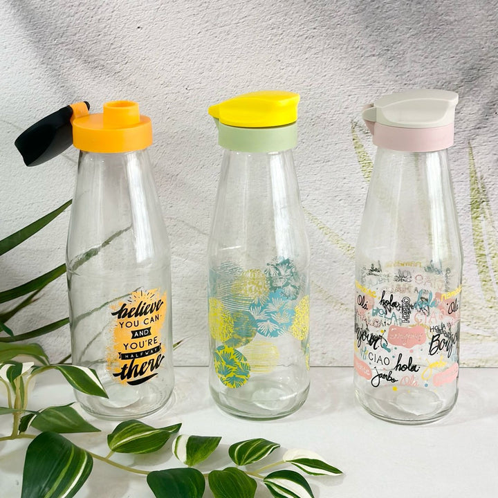 Set 3 bouteilles en verre 720ML