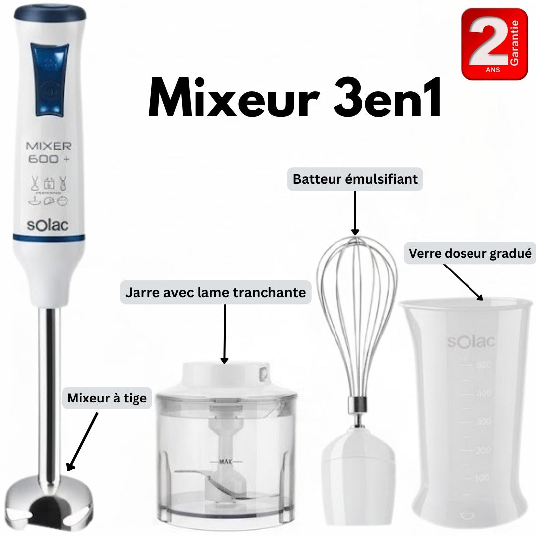 Mixeur plongeant 3EN1 600W