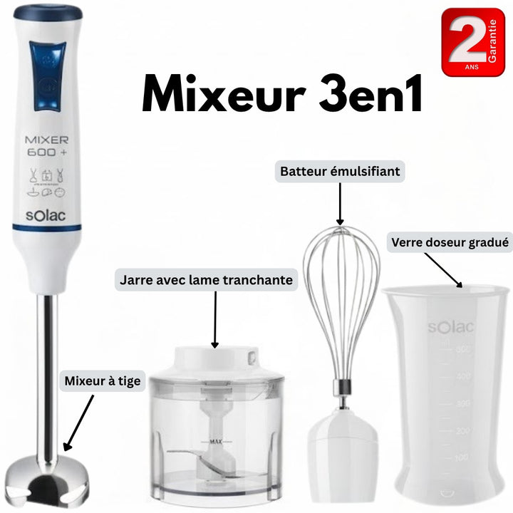 Mixeur plongeant 3EN1 600W
