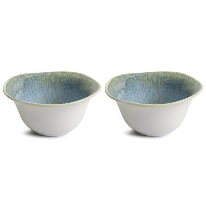 Set 2 bols 17x8cm