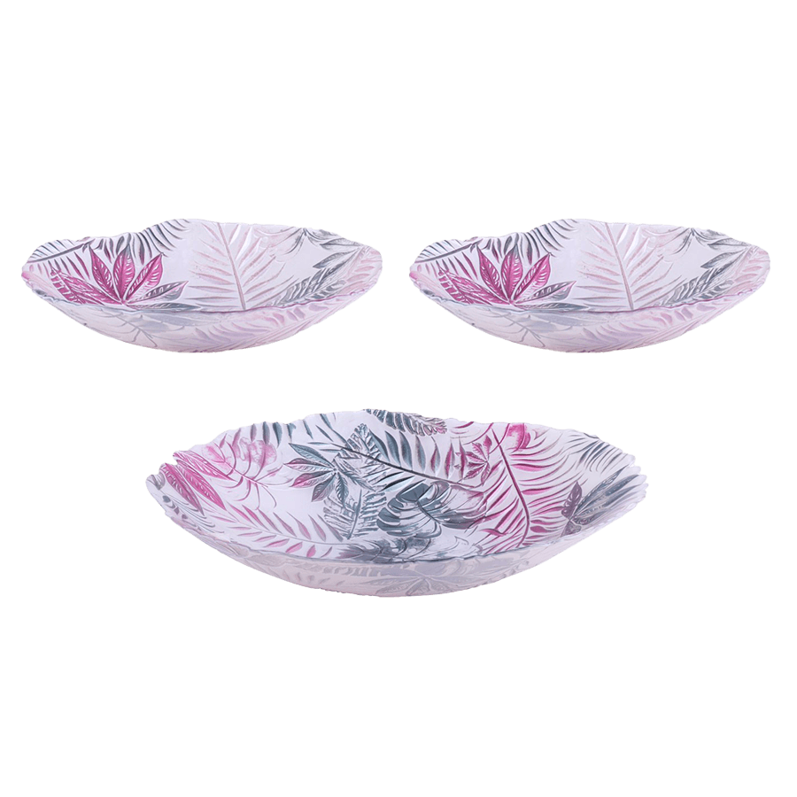 Pack plat 30cm + 2 assiettes creuses 22cm - Saga Cuisine