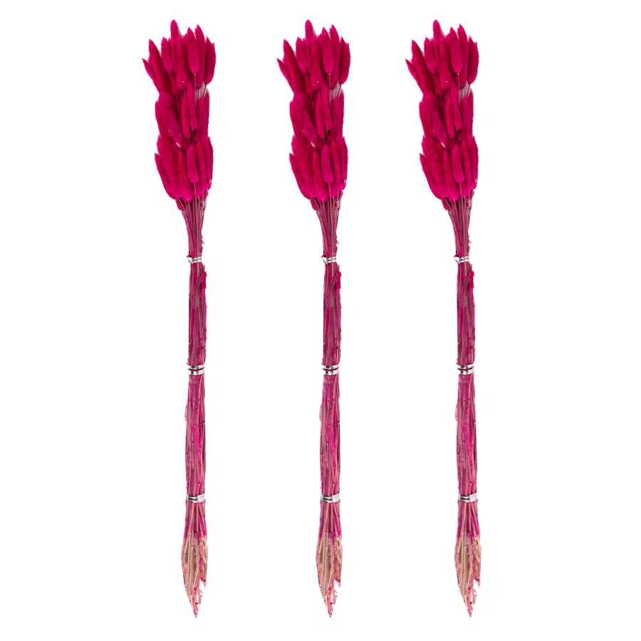 Set 3 plantes décoratives 66cm - Saga Cuisine