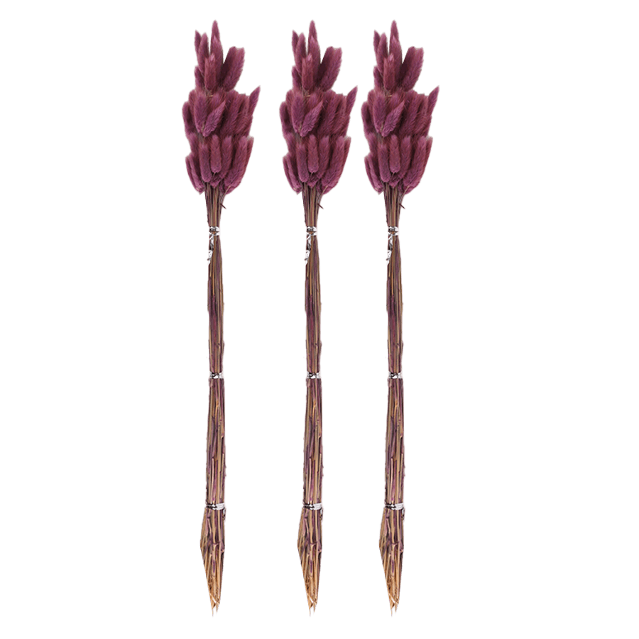 Set 3 plantes décoratives 66cm - Saga Cuisine