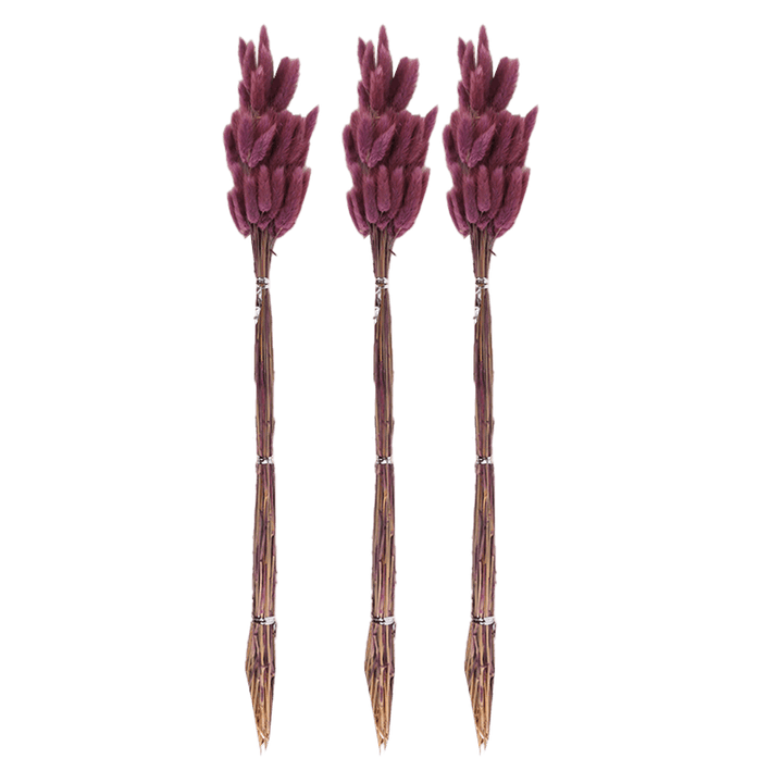 Set 3 plantes décoratives 66cm - Saga Cuisine